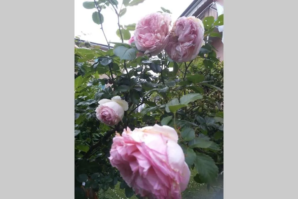 Appartement La Rosa à La Spezia